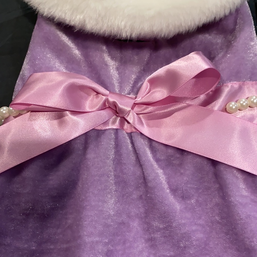 Disney Pets Collared Princess Outfit - Picture 2 of 8